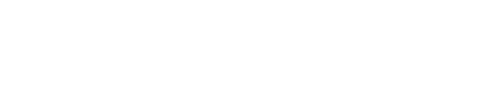 AUDI (1)